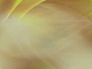 合规管理